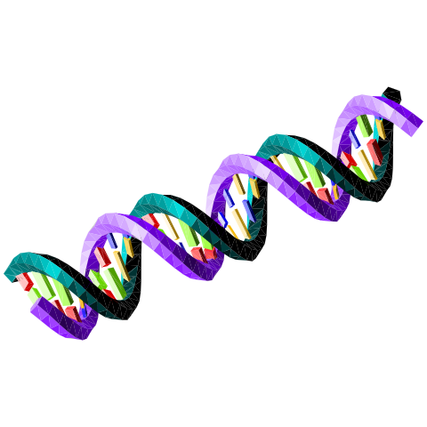 DNA